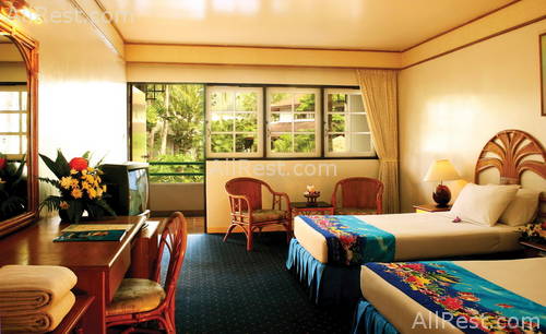 Coconut Village Resort 3
